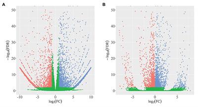 Transcriptome Analysis Reveals a Potential Role of Benzoxazinoid in Regulating Stem Elongation in the Wheat Mutant qd